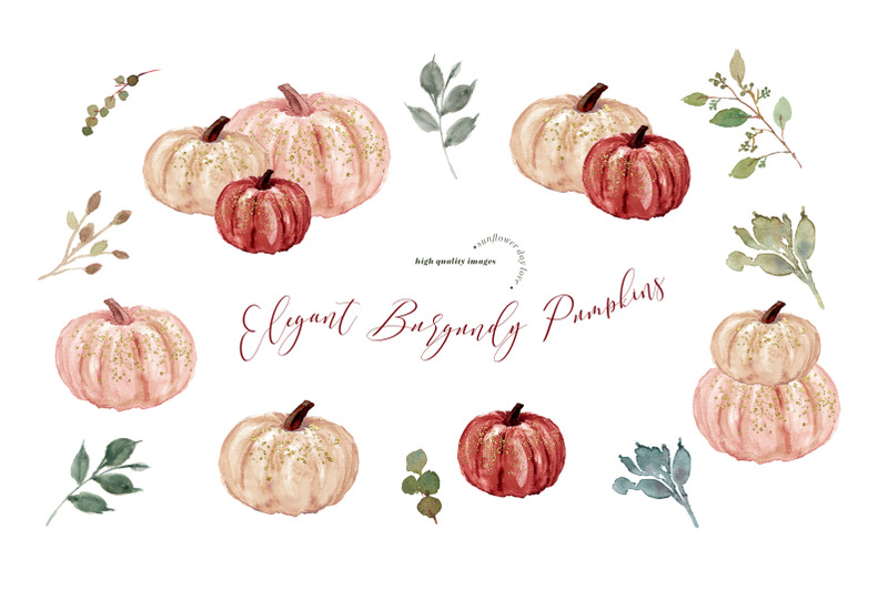 burgundy-pumpkin-watercolor-clipart-elegant-burgundy-clip-art