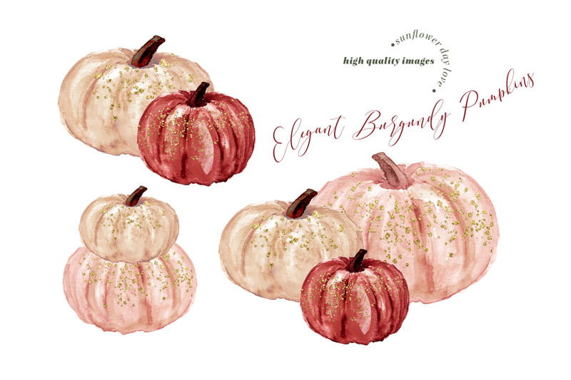 burgundy-pumpkin-watercolor-clipart-elegant-burgundy-clip-art