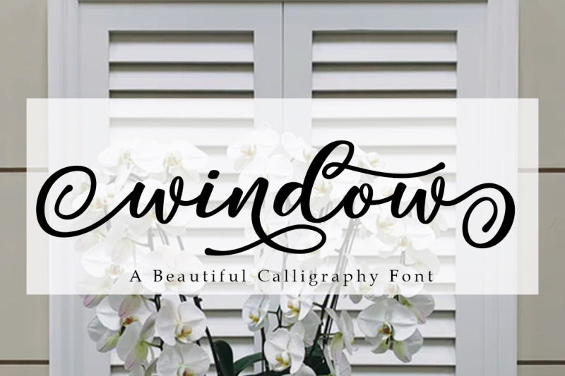 window-a-beautiful-calligraphy-font