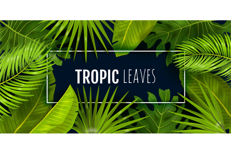 tropic-background-realistic-jungle-foliage-frame-with-text-monstera