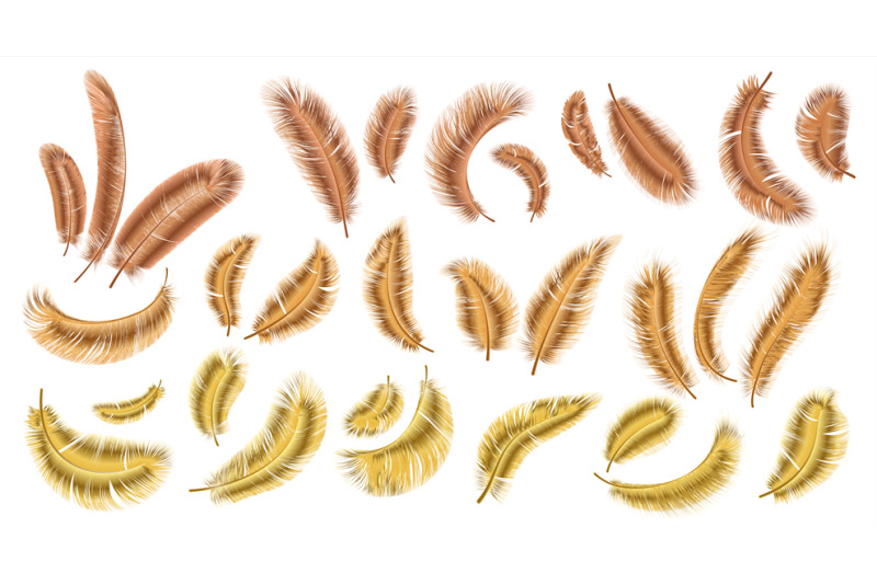 golden-feathers-realistic-falling-fluffy-bird-plume-feather-heaven-d