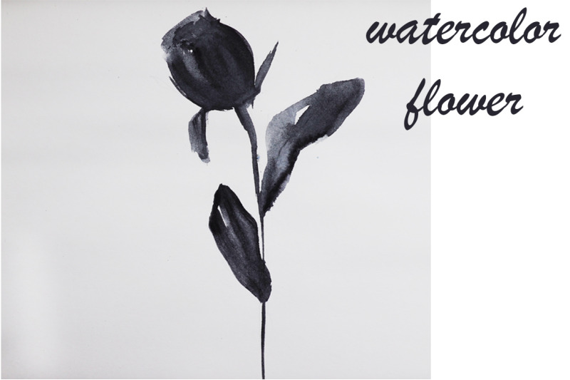watercolor-flower-watercolor-graphic-rose