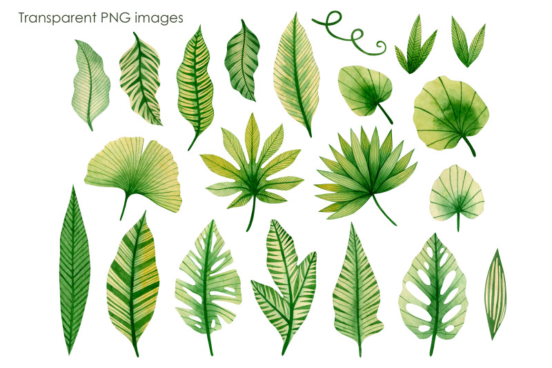 watercolor-tropical-leaves-clipart