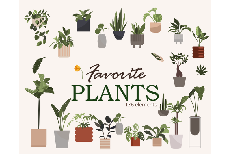 home-plants-vector-clipart-gardening-download-snake-plant