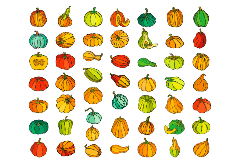 50-types-of-pumpkins-in-color-and-bw-svg-png-set-of-beautiful-pumpkin