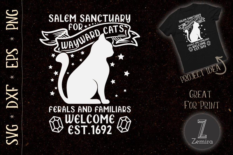 salem-sanctuary-for-wayward-black-cats