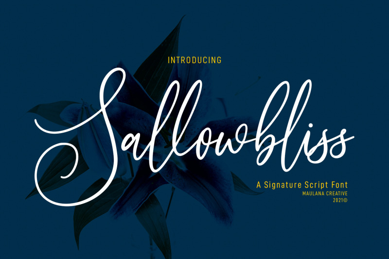 sallowbliss-cursive-script-font