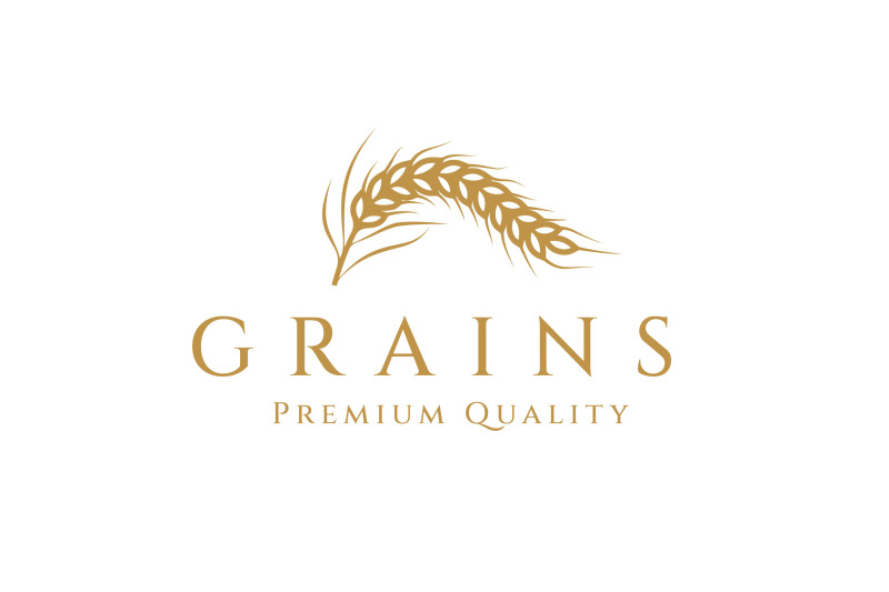 golden-grain-wheat-rice-logo-design