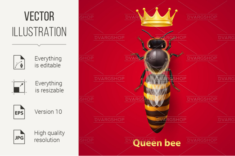 bee-queen