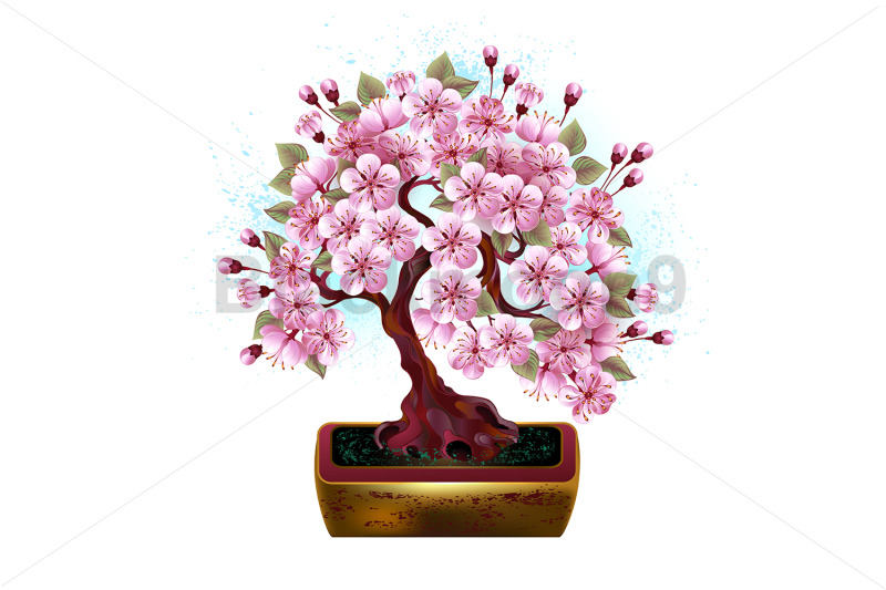 bonsai-pink-japanese-cherry