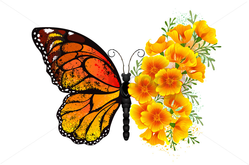 flower-butterfly-with-yellow-california-poppy