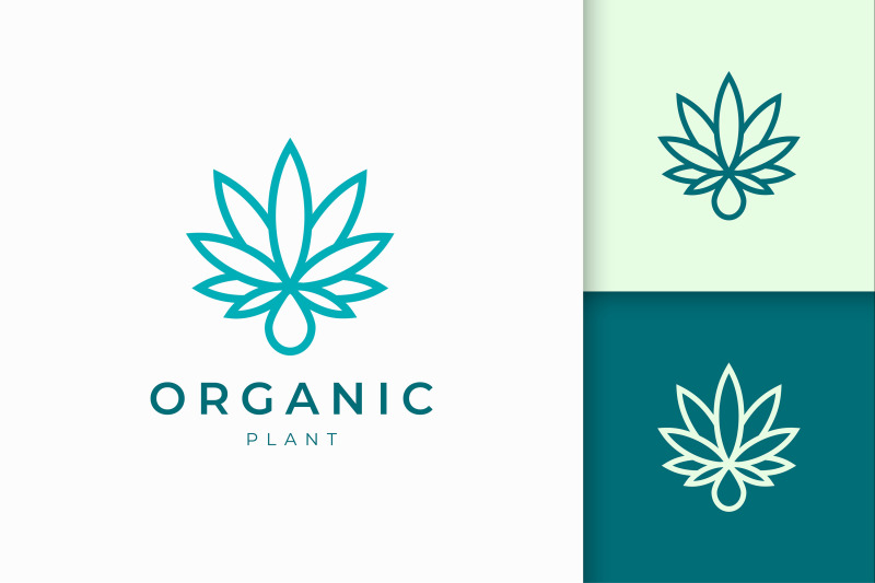 cannabis-leaf-and-oil-logo-template