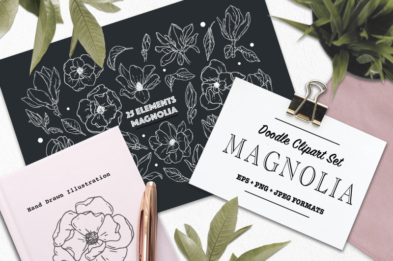 doodle-clipart-set-magnolia-line-art-vector-elements