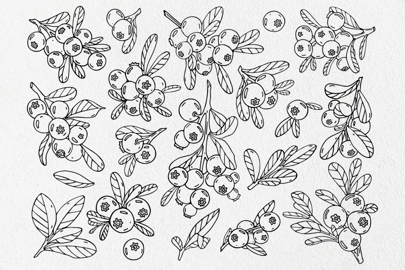 blueberry-doodle-clipart-set-line-art-illustration