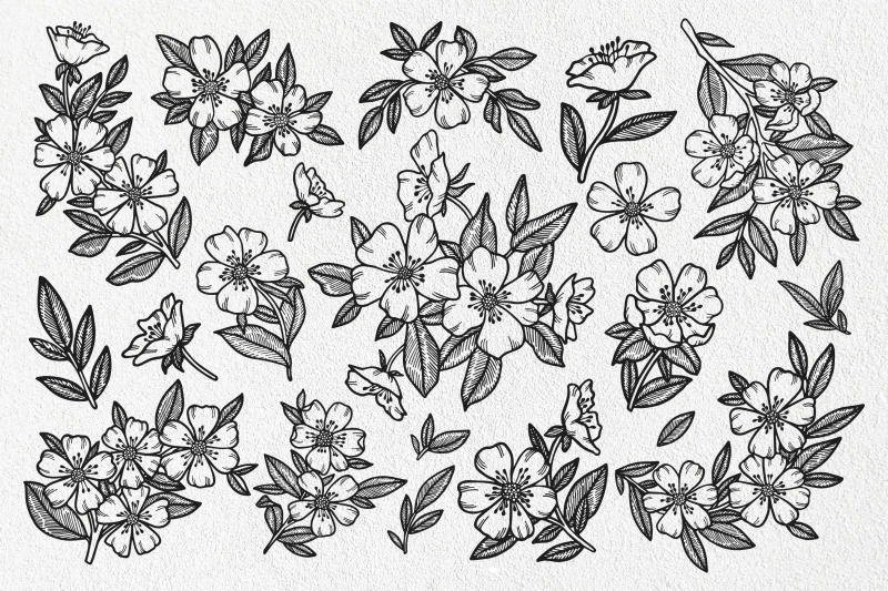doodle-clipart-set-spring-flowers-vector-line-art-elements
