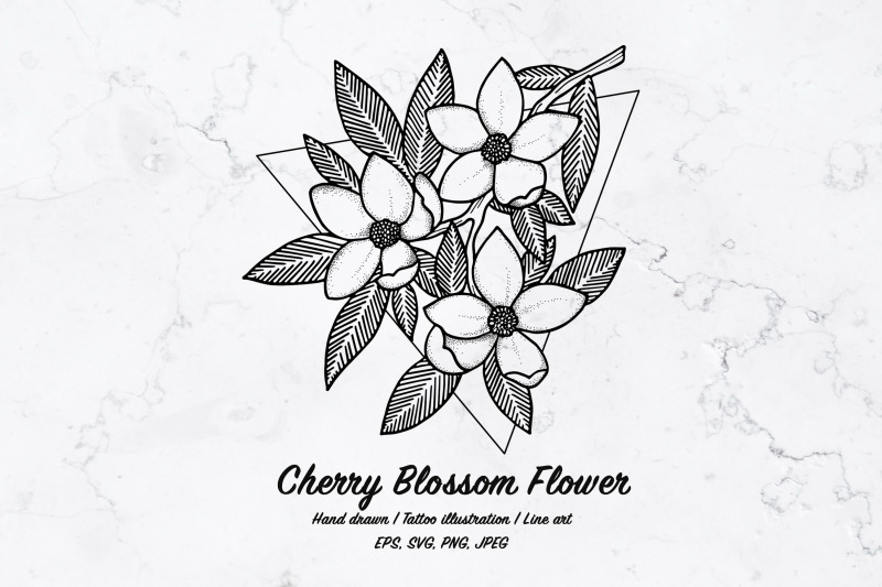 cherry-blossom-flower-line-art-vector-illustration-tattoo-sketch
