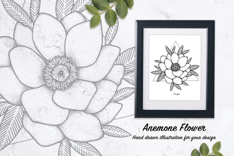 anemone-flower-illustration-vector-line-art-svg-eps-png