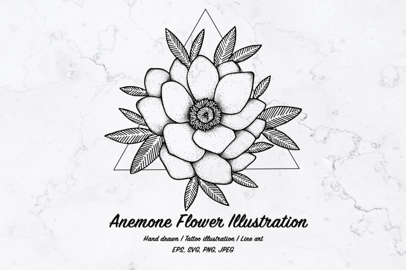 anemone-flower-illustration-vector-line-art-svg-eps-png