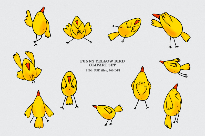 funny-yellow-bird-clipart-set-and-pattern-png-jpg-psd