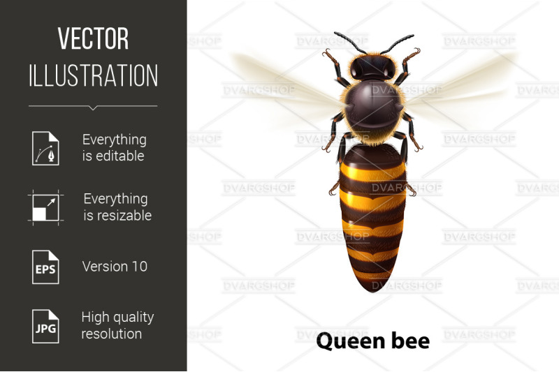 bee-queen