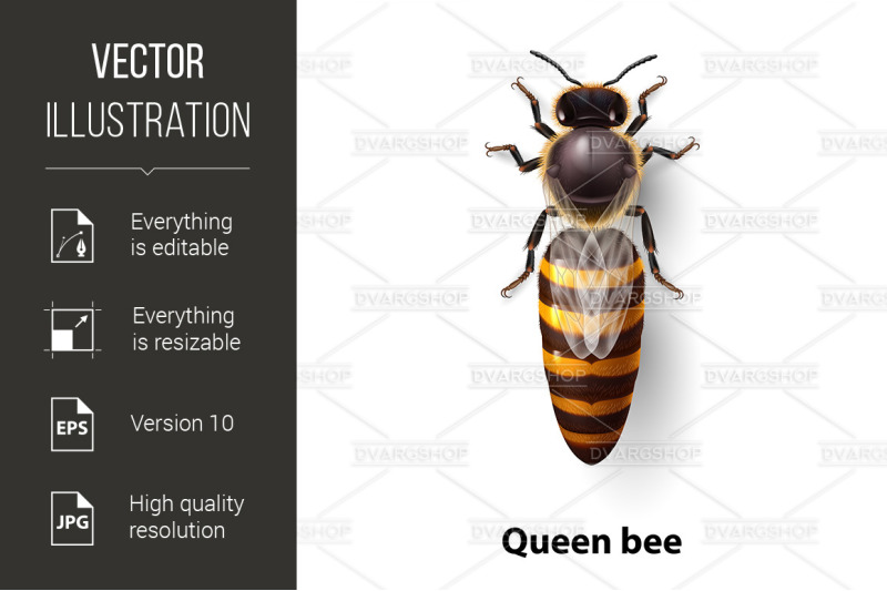 bee-queen