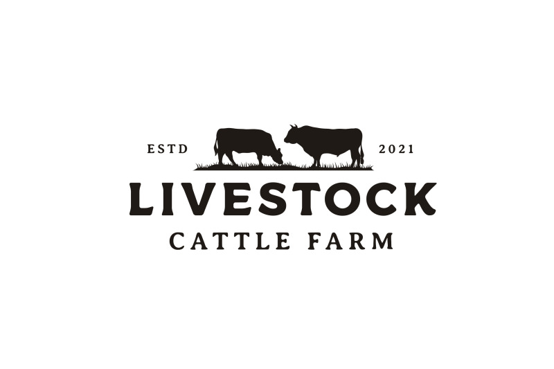 vintage-retro-angus-cattle-or-livestock-logo-design