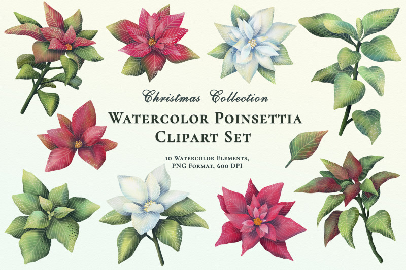 watercolor-clipart-set-christmas-plants-floral-wreaths-png