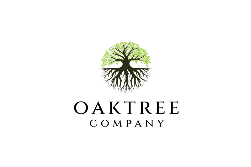 oak-tree-togo-logo-design-tree-and-root-vector-tree-of-life-logo-des