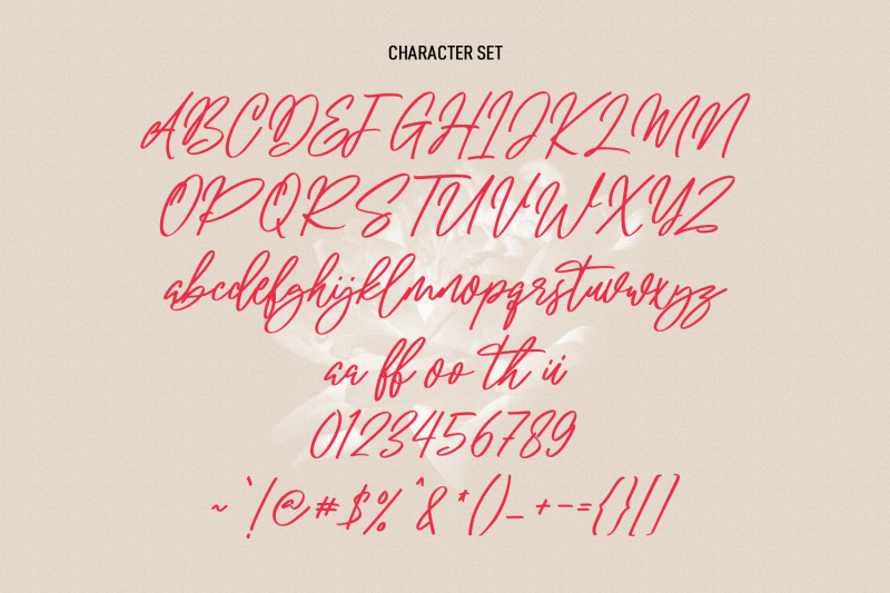 soulections-script-font