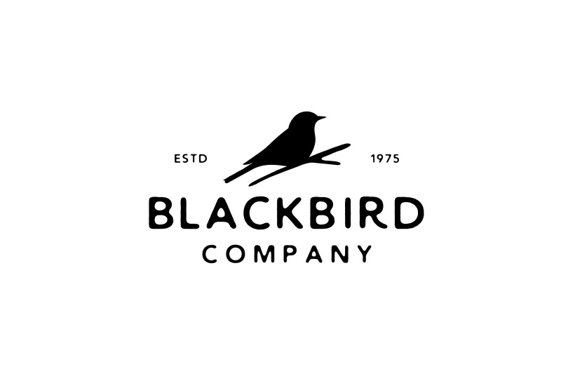 vintage-retro-bird-silhouette-logo-design-vector