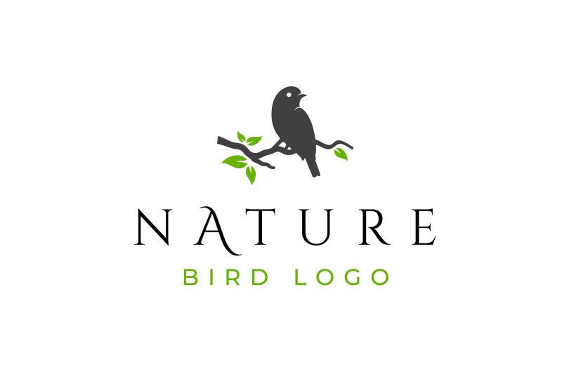 bird-on-a-branch-logo-design