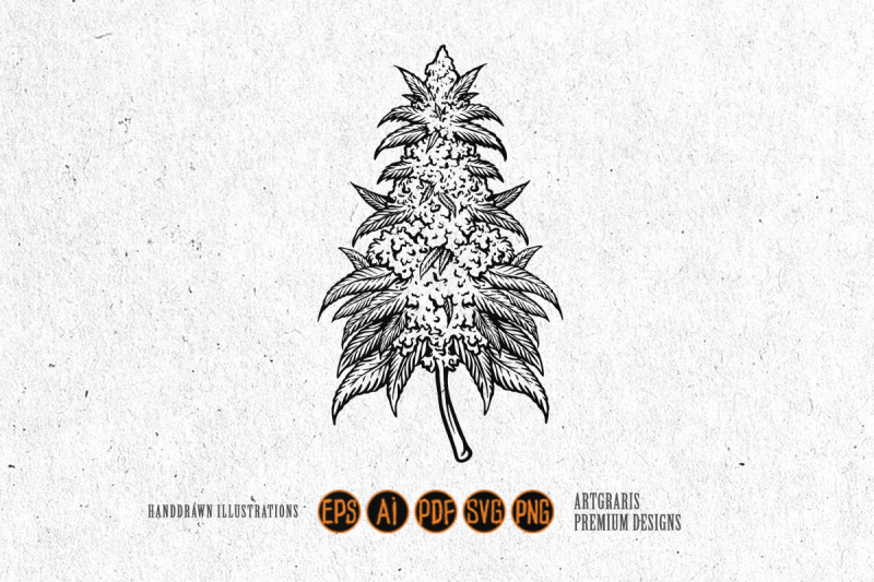 weed-leaf-cannabis-plant-kush-silhouette