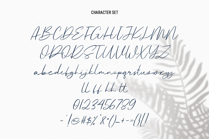 oxyless-script-font