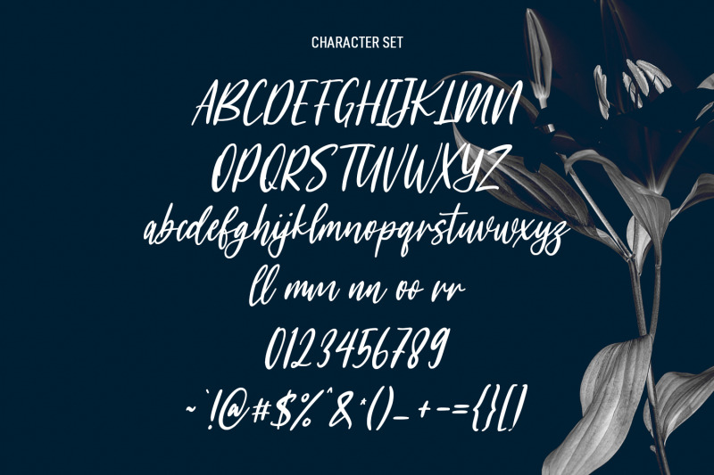 woodstark-script-brush-font