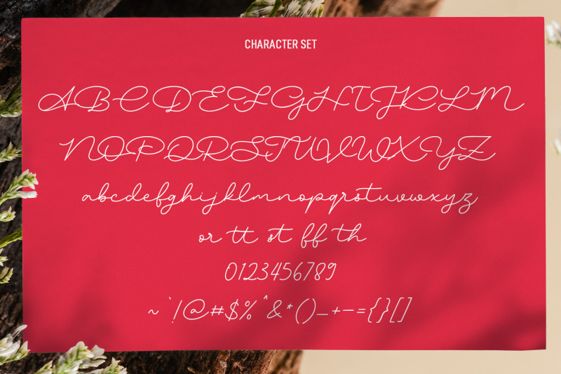 hockleys-script-font