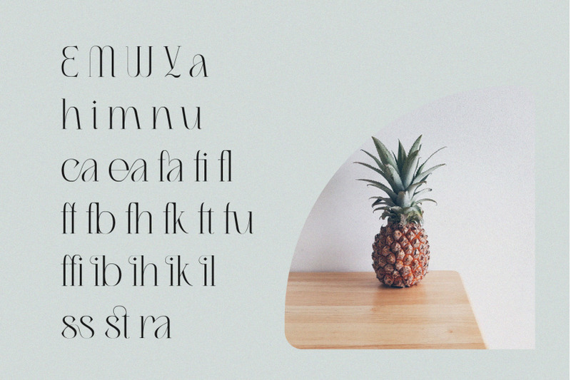 migasike-stylish-ligature-serif