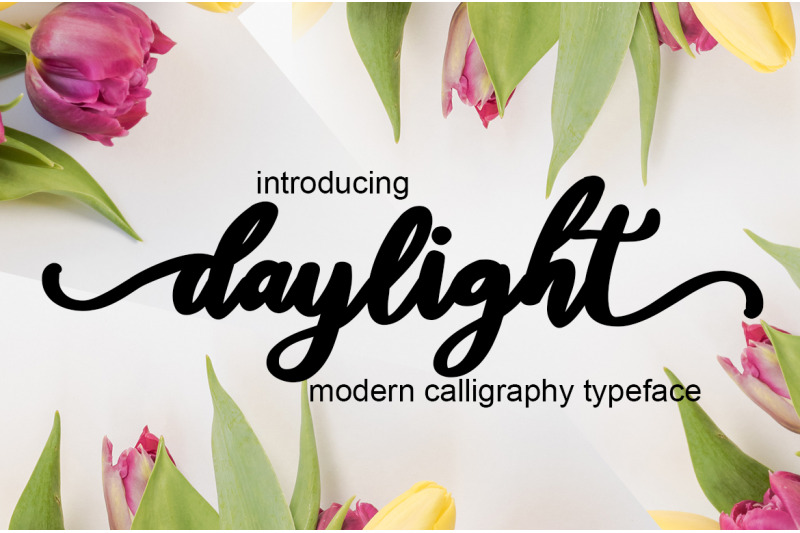 daylight-script-font