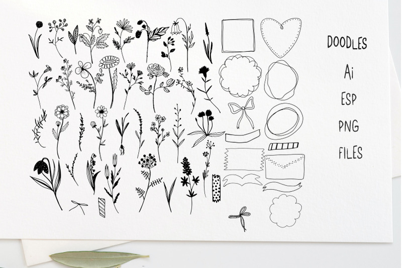 wild-herbs-rustic-font-doodles-logos