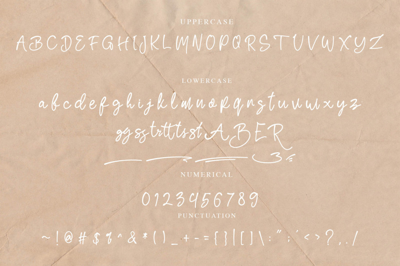 renatta-elegant-script-font