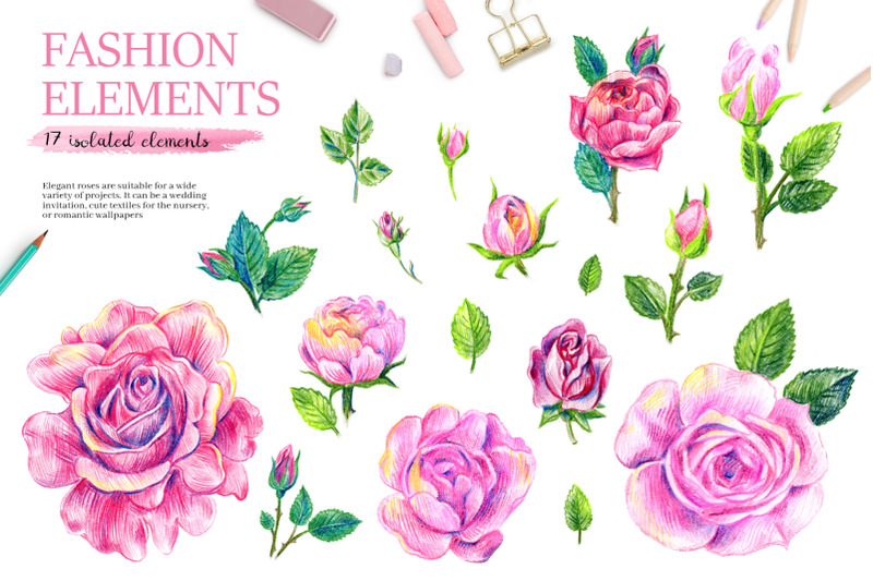 set-of-illustrations-with-english-roses