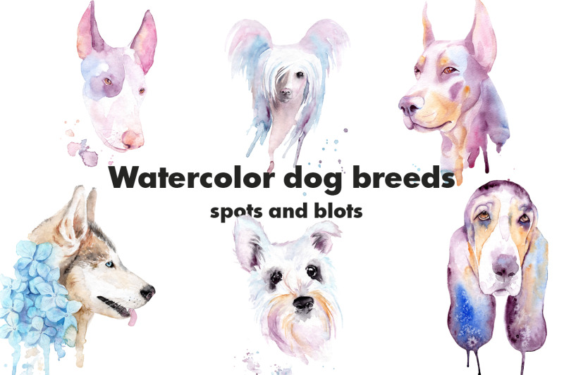 watercolor-dog-breeds-splashes-and-blots