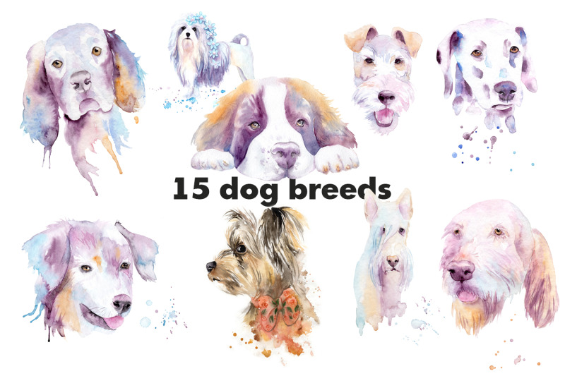 watercolor-dog-breeds-splashes-and-blots