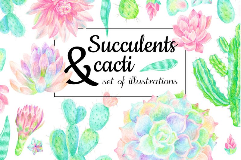 succulents-and-cacti-in-colored-pencils