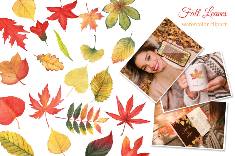 autumn-leaves-watercolor-clipart-fall-leaf-png-maple-oak-cottonwoo