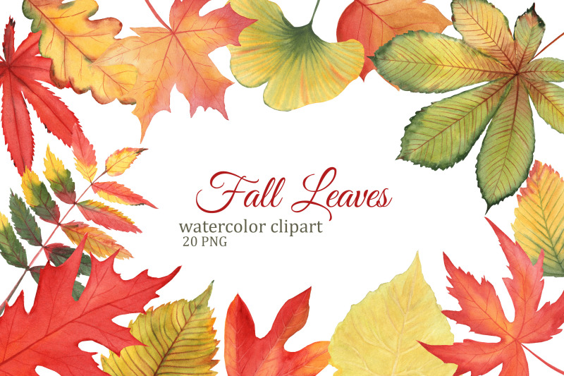 autumn-leaves-watercolor-clipart-fall-leaf-png-maple-oak-cottonwoo
