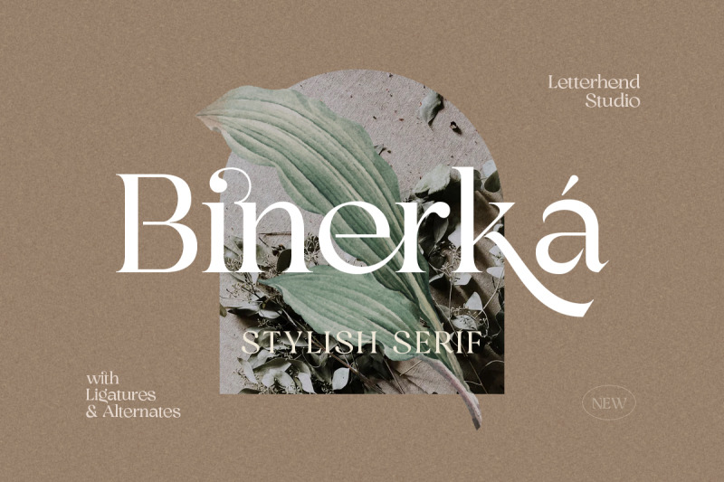 binerka-stylish-serif-font