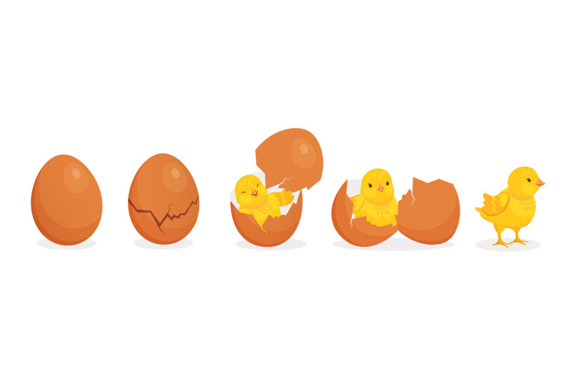 cartoon-cute-baby-chicken-hatch-from-egg-stages-cracked-eggshell-and