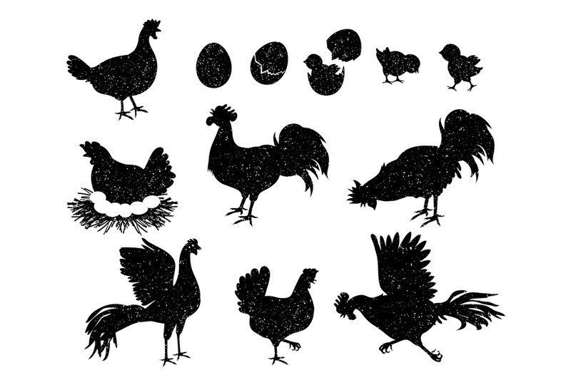 rooster-hen-and-chicken-silhouettes-for-vintage-logo-and-labels-poul