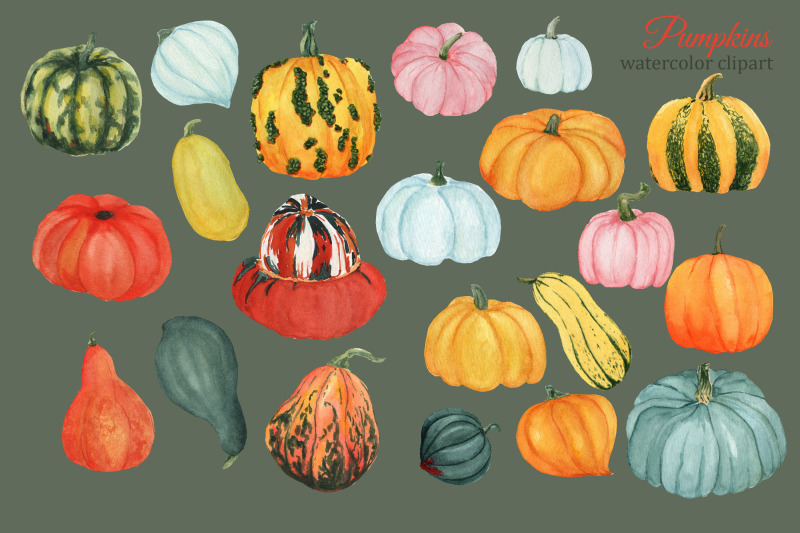 fall-pumpkins-watercolor-clipart-autumn-farm-clipart-thanksgiving-cl