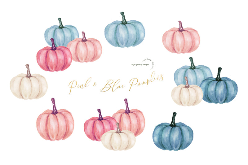 elegant-pink-amp-blue-flowers-pumpkin-clipart-fall-pumpkin-watercolor